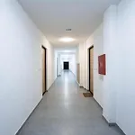 Stella Sarajevo