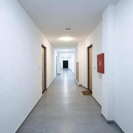 Stella Sarajevo